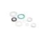 Sanitary Gaskets